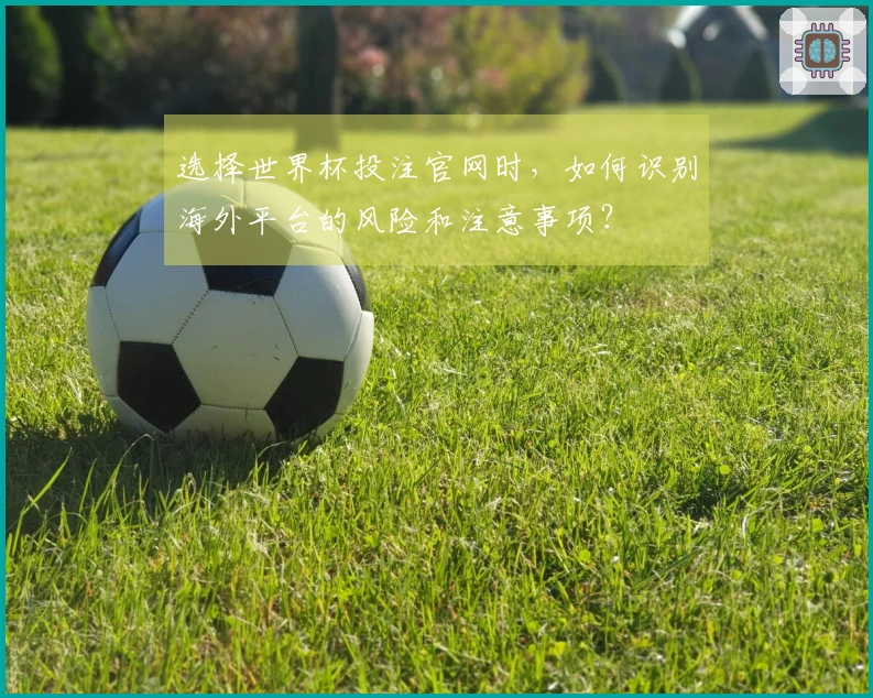 选择世界杯投注官网时,如何识别海外平台的风险和注意事项?